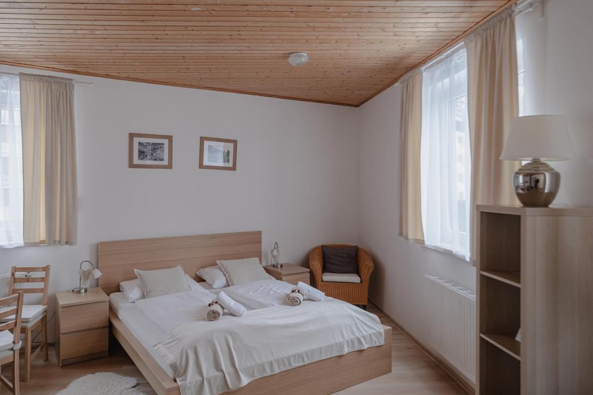 Guest house Alpenpension Haslinger Bad Gastein