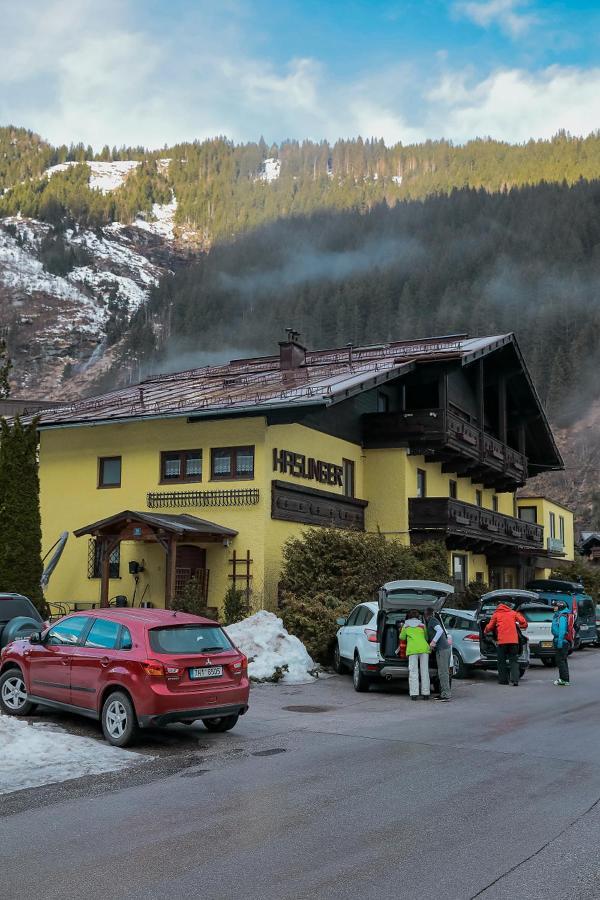 Guest house Alpenpension Haslinger Bad Gastein